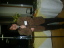 dsc01483.jpg