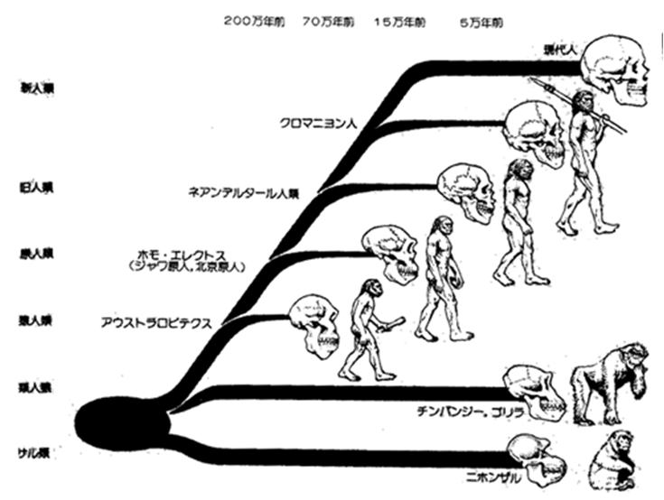 第３回】ヒトとはどのような存在か？