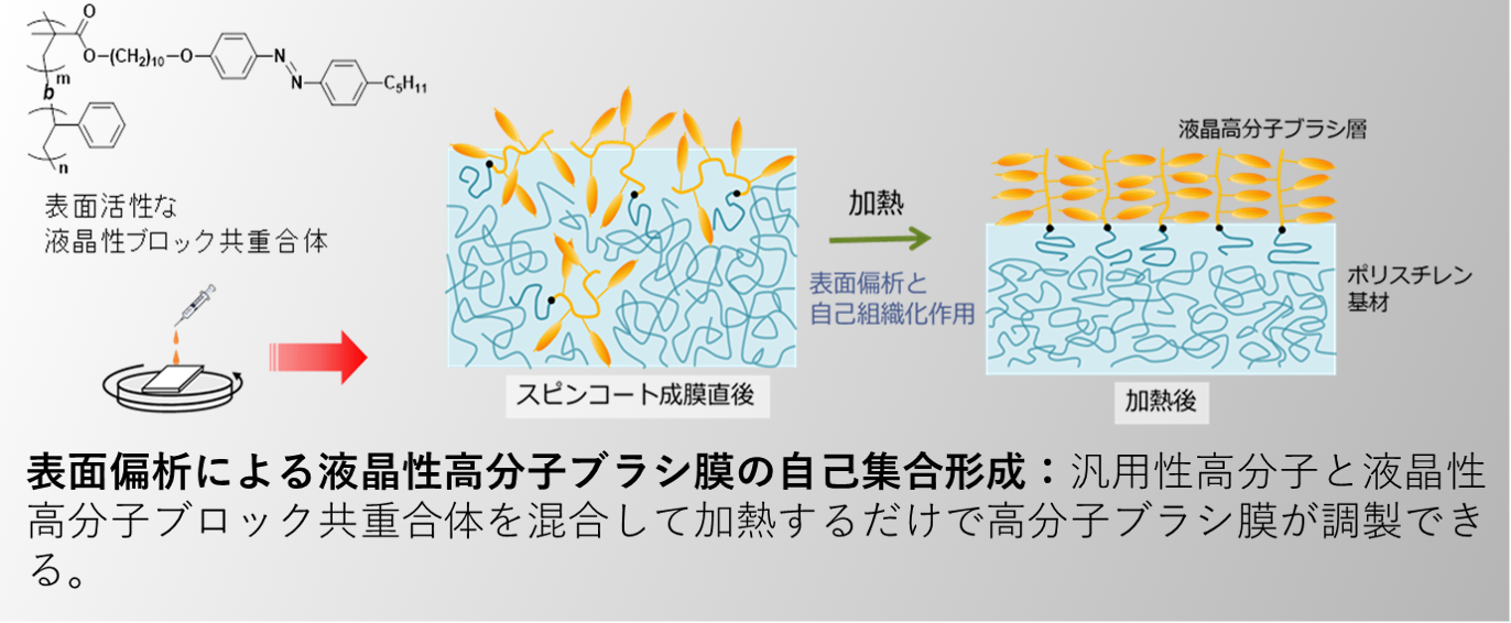 research nagano laboratory rikkyo university of 永野研究室 立教大学 nagano laboratory rikkyo university